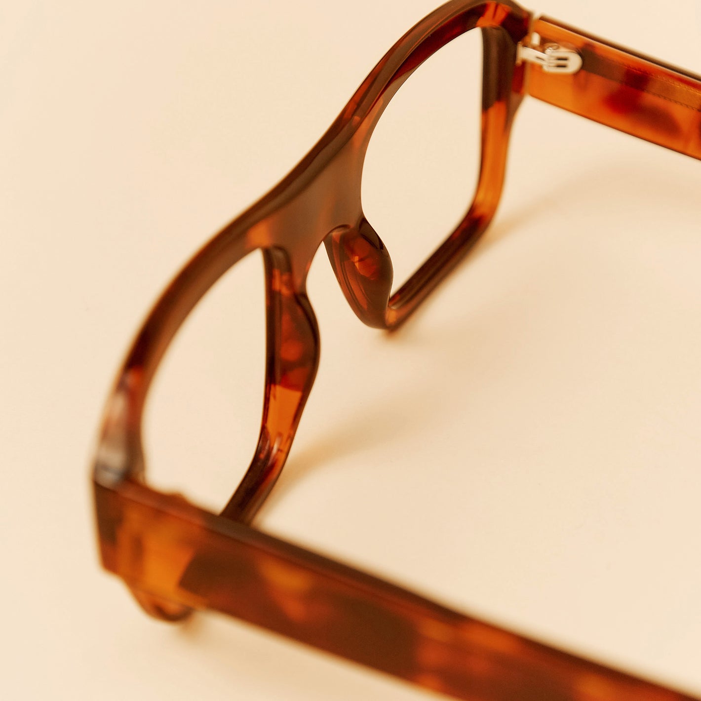 Ronnie Tortoiseshell